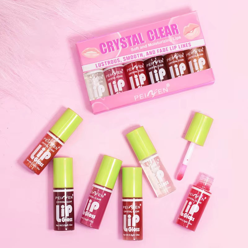 6PCS Moisturizing Lip Gloss Transparent Lip Oil Sexy Hydrating Lip Lip Cosmetics for Make up Liquid Lipstick Lips Cosmetics Gift